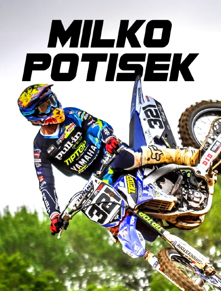 Milko Potisek : Le comeback du lion des Flandres