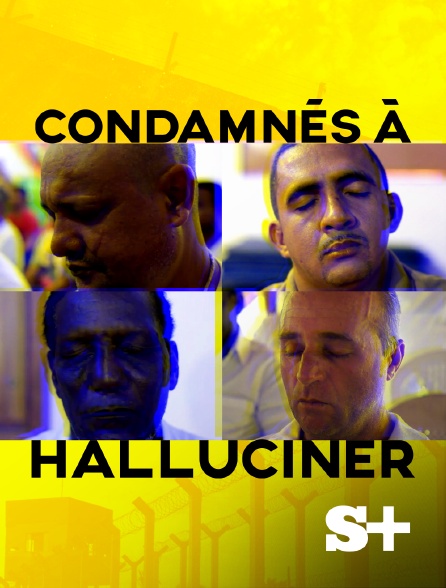 Society+ - Condamnés à halluciner