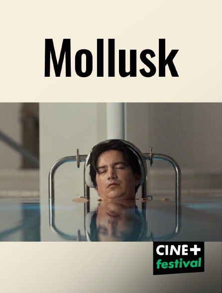CINE+ Festival - Mollusk