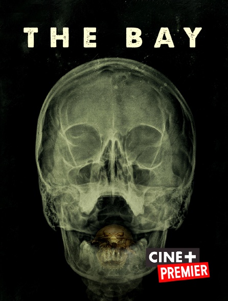 Ciné+ Premier - The Bay