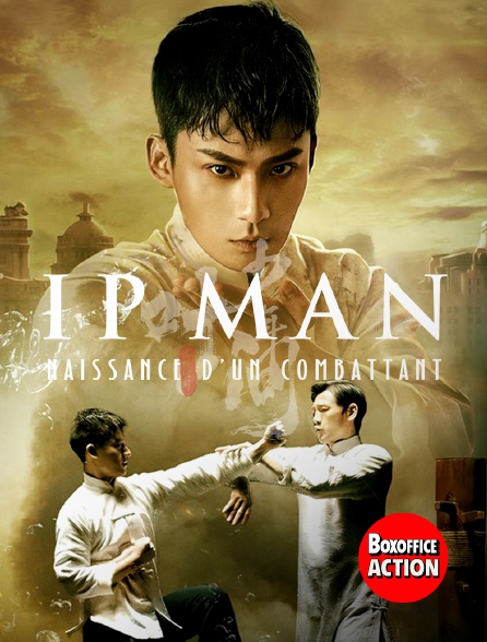 Box Office Action - Ip Man : Naissance d'un combattant