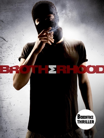 Box Office Thriller - Brotherhood