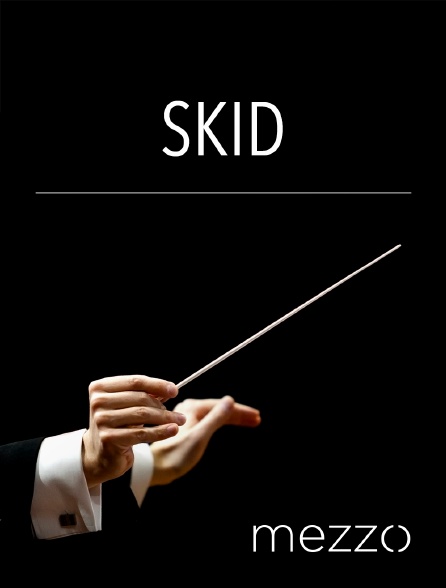 Mezzo - Skid