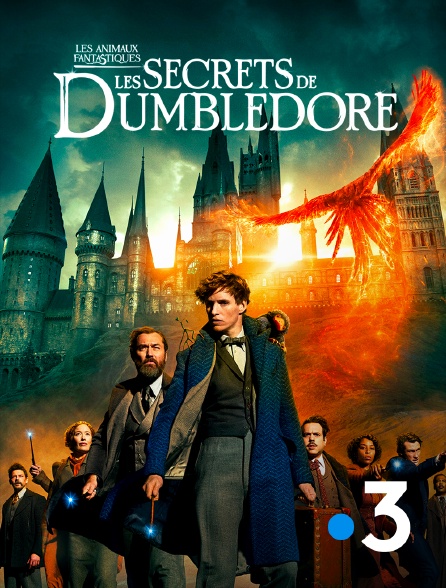 France 3 - Les animaux fantastiques : les secrets de Dumbledore