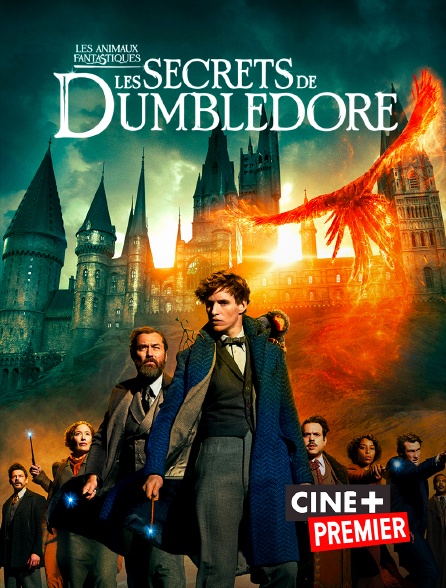 Ciné+ Premier - Les animaux fantastiques : Les secrets de Dumbledore