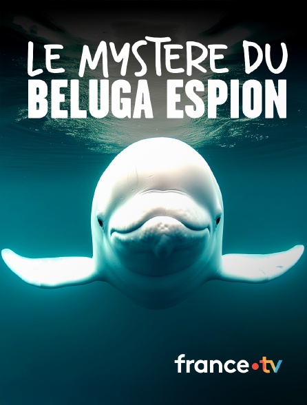 france.tv - Le mystère du béluga espion