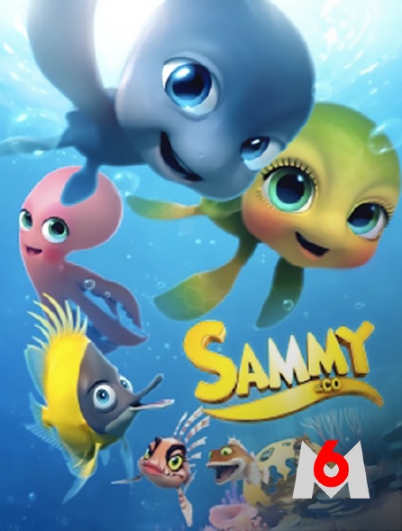 M6 - Sammy & Co