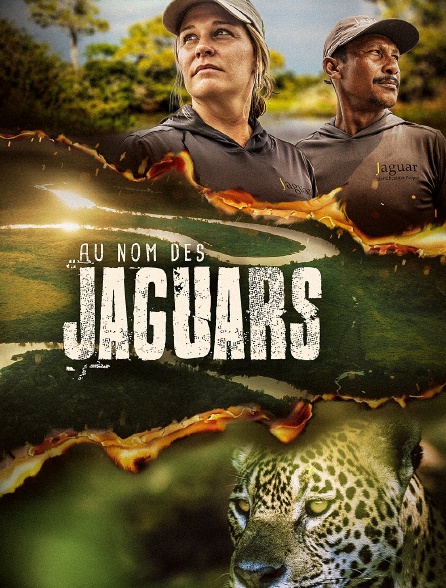Au nom des jaguars