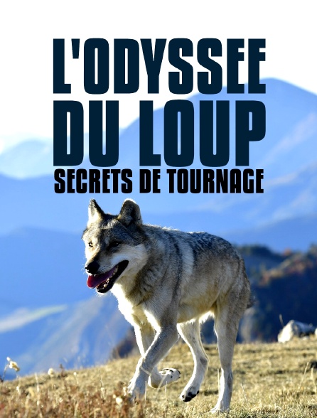 L'odyssée du loup : secrets de tournage