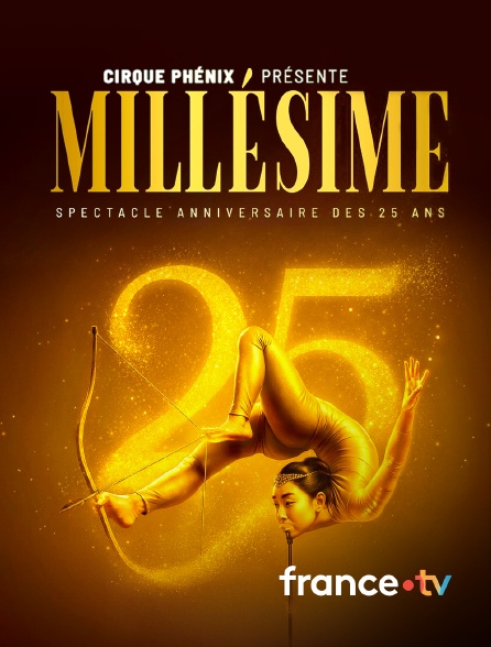france.tv - Le Cirque Phénix - 25 ans