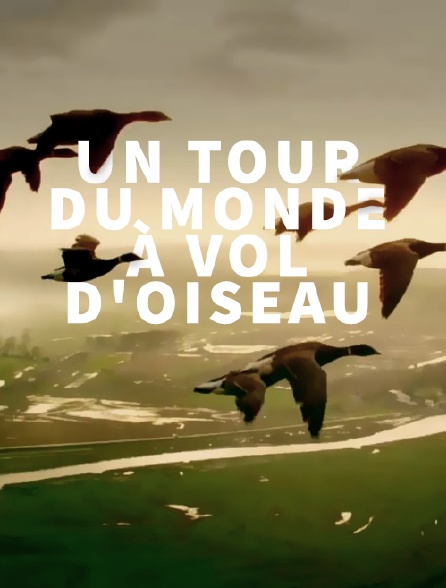 Un tour du monde à vol d'oiseau
