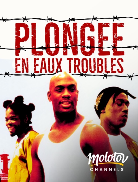 Molotov channels - Plongée en eaux troubles