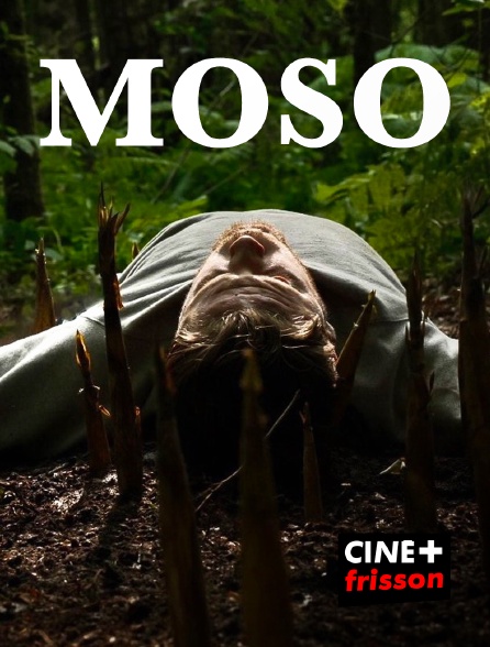 CINE+ Frisson - Moso