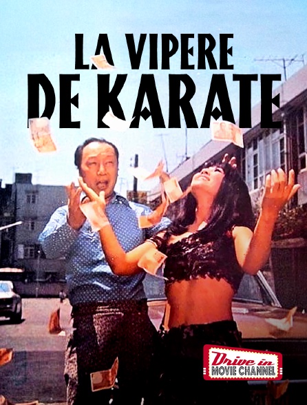 Drive-in Movie Channel - La vipère de karate
