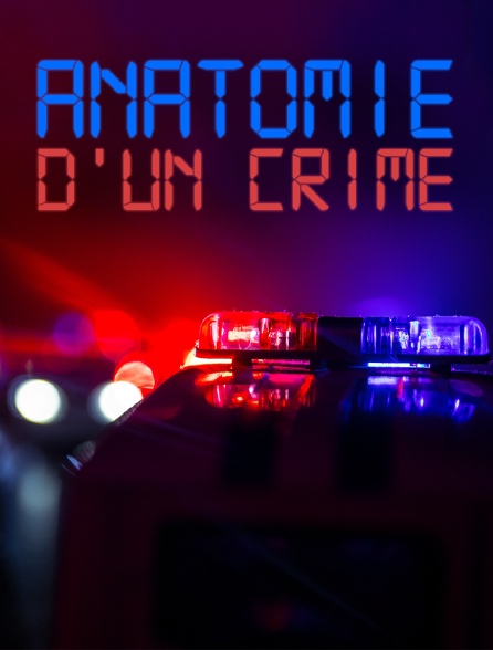 Anatomie d'un crime