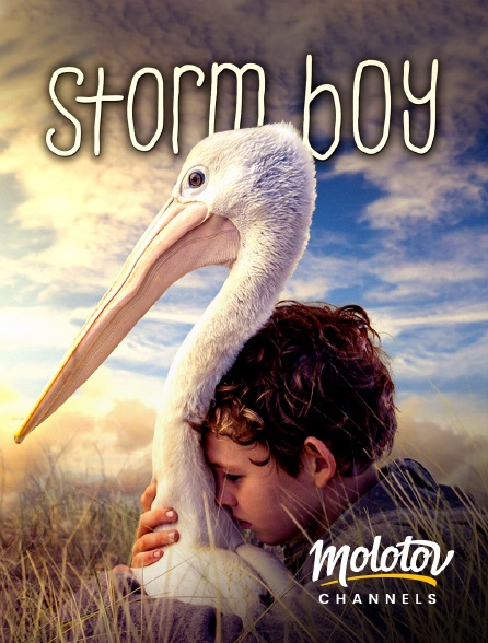 Molotov Channels - Storm Boy l’enfant de la tempête