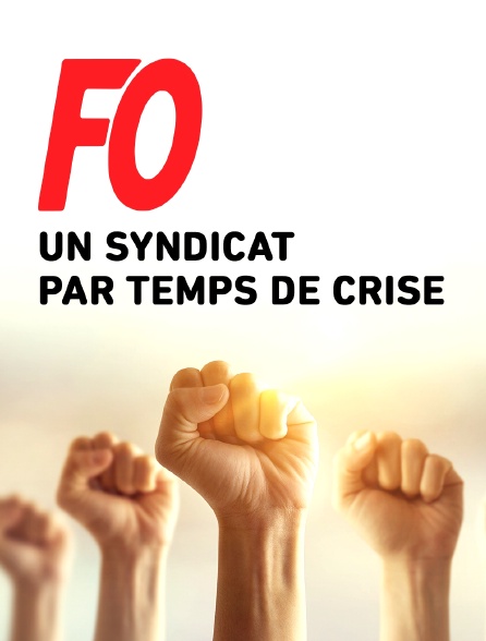 FO, un syndicat par temps de crise