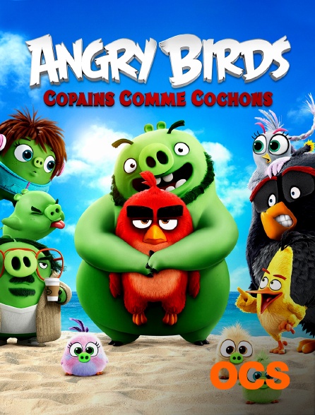 Angry Birds 2 Le Film Francais En Entier Angry birds 2 : Copains comme cochons en Streaming sur OCS - Molotov.tv