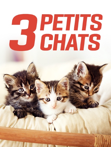 Trois petits chats