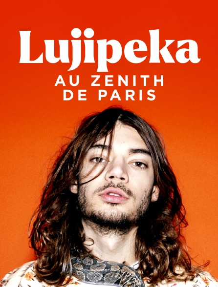 Lujipeka au Zénith de Paris