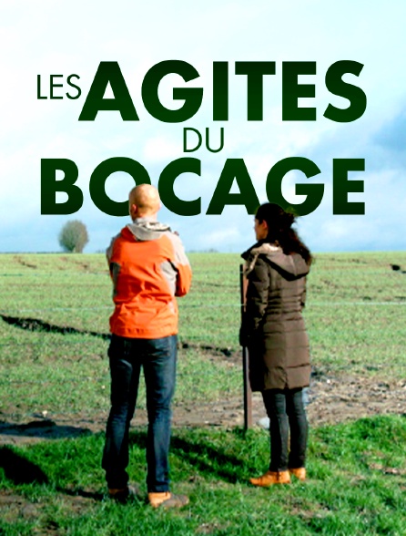 Les agités du bocage