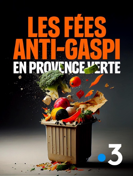 France 3 - Les fées anti-gaspi, en Provence verte