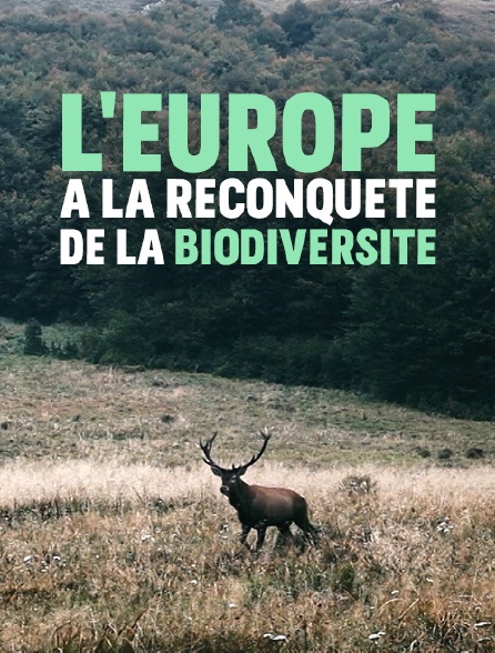 L'Europe à la reconquête de la biodiversité