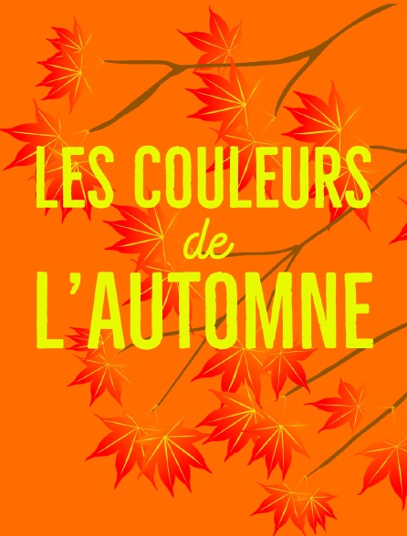 Les couleurs de l'automne