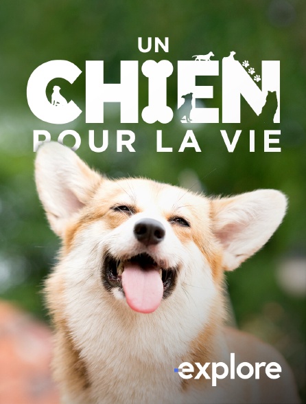 EXPLORE - Un chien pour la vie
