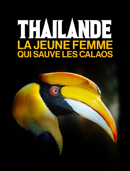 Thaïlande, la jeune femme qui sauve les calaos