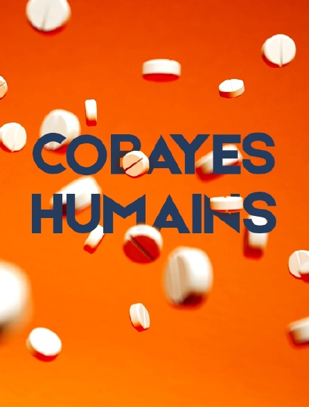 Cobayes humains