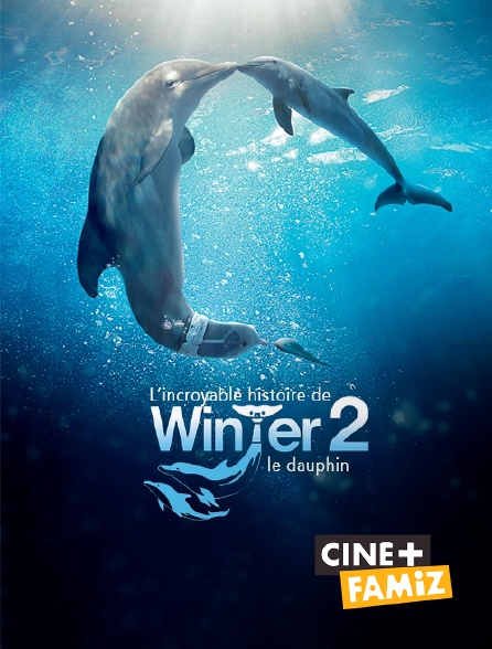 Ciné+ Famiz - L'incroyable histoire de Winter le dauphin 2