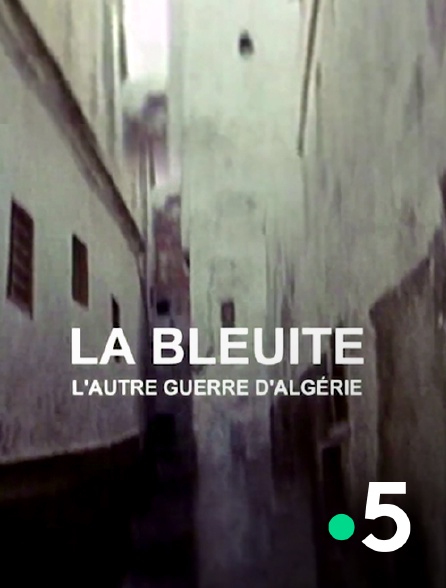 France 5 - La Bleuite, l'autre guerre d'Algérie