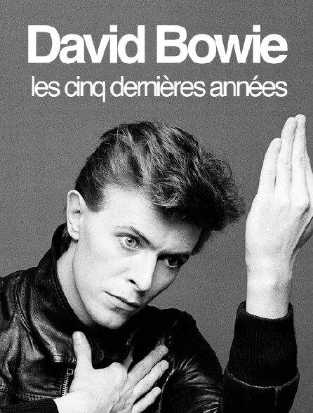 David Bowie, les cinq dernières années