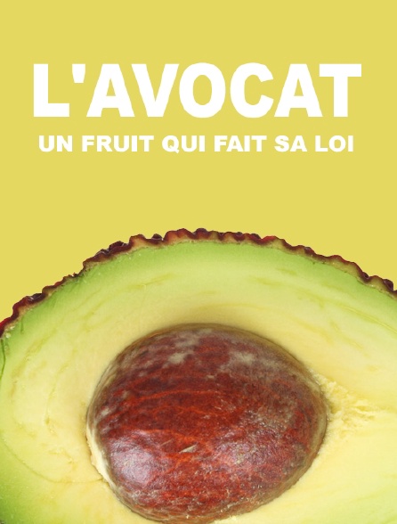 L'avocat, un fruit qui fait sa loi