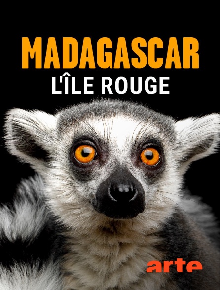 Arte - Madagascar, l'île rouge