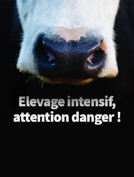 Elevage intensif, attention danger !