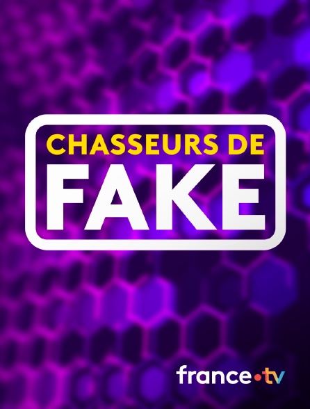 france.tv - Chasseurs de fake
