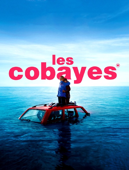 Les Cobayes