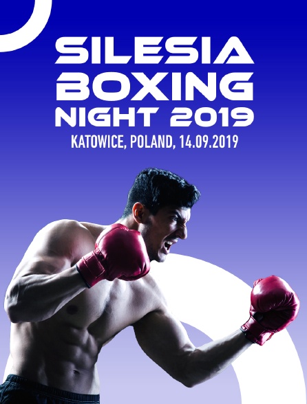 Silesia Boxing Night 2019, Katowice, Poland, 14.09.2019