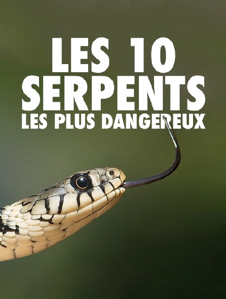 Les 10 serpents les plus dangereux