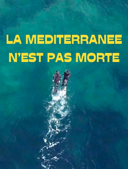 La Méditerranée n'est pas morte