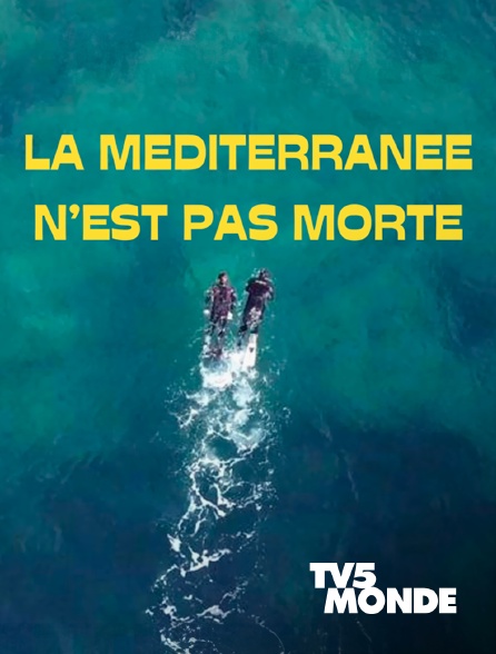 TV5MONDE - La Méditerranée n'est pas morte