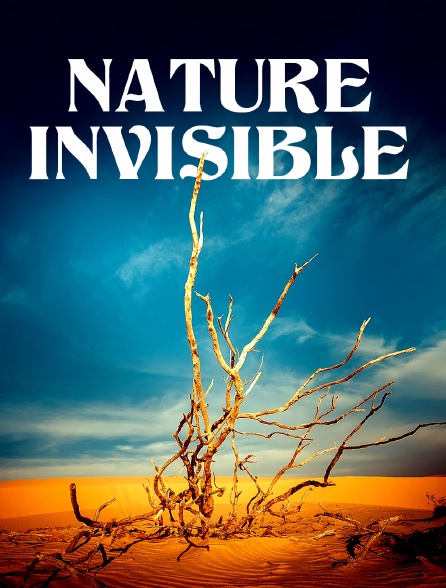 Nature invisible