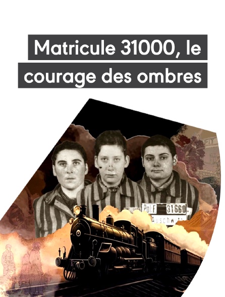 Matricule 31000, le courage des ombres