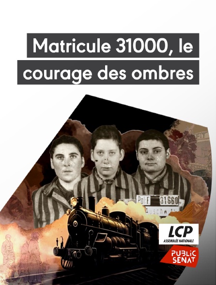 LCP Public Sénat - Matricule 31000, le courage des ombres