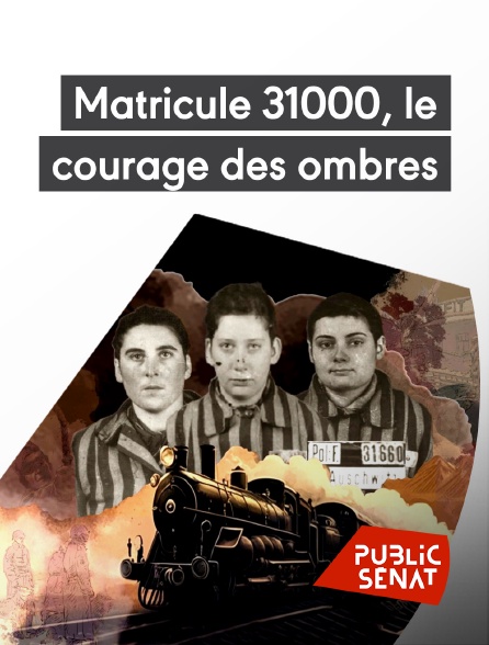 Public Sénat - Matricule 31000, le courage des ombres