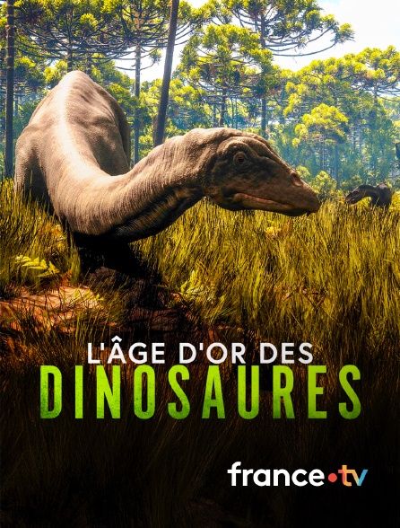 france.tv - L'âge d'or des dinosaures