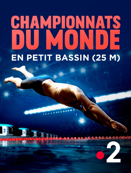 France 2 - Championnats du monde de natatation en petit bassin