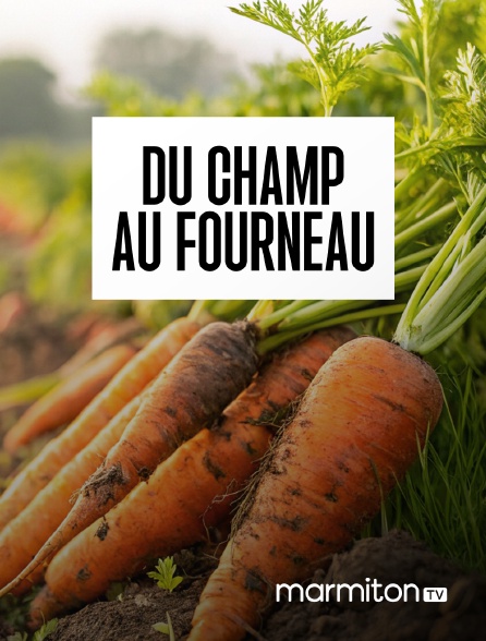 Marmiton TV - Du champ au fourneau